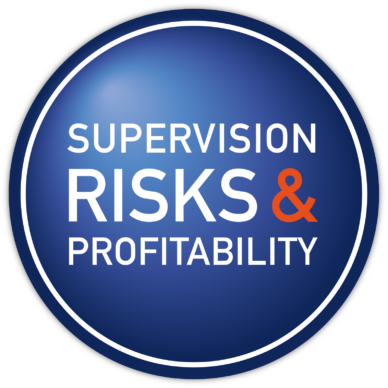 LOGO_RISKSePROFITABILITY new LOGO_RISKSePROFITABILITY new